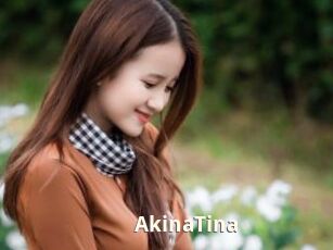 AkinaTina