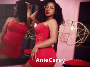 AnieCarey