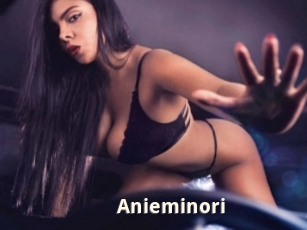 Anieminori