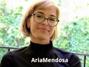 AriaMendosa