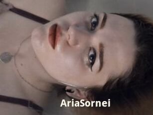 AriaSornei