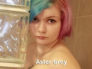 Aster_Grey
