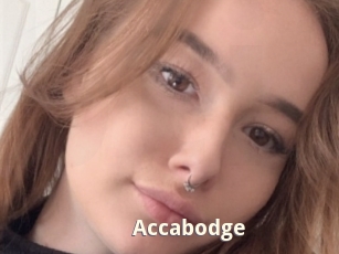 Accabodge