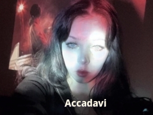 Accadavi