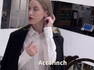 Accafinch