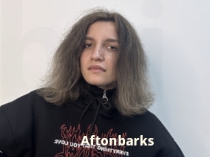 Aftonbarks
