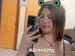Aliceekitty