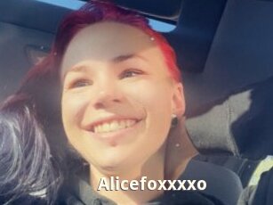 Alicefoxxxxo