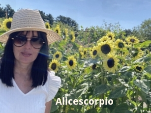 Alicescorpio