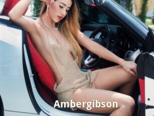 Ambergibson