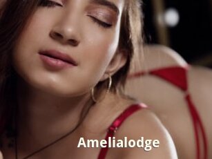 Amelialodge