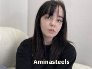 Aminasteels