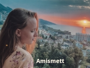 Amismett
