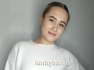 Amitybarris