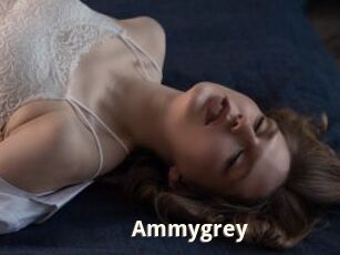 Ammygrey