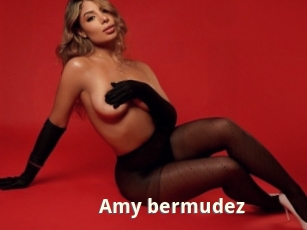 Amy_bermudez