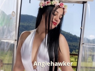 Angiehawker