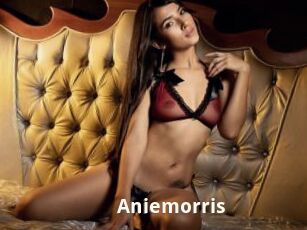 Aniemorris
