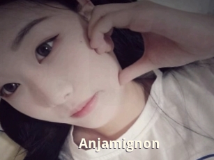 Anjamignon