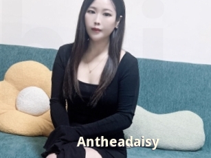 Antheadaisy