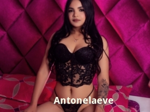 Antonelaeve