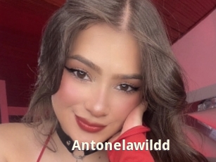 Antonelawildd