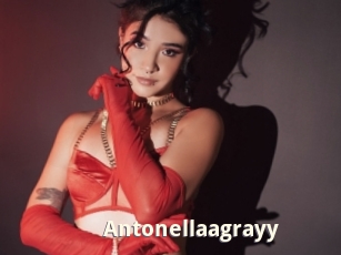Antonellaagrayy