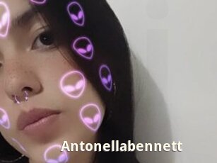Antonellabennett