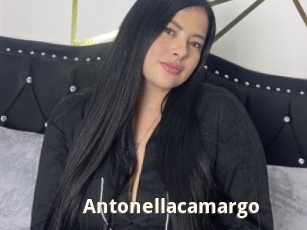 Antonellacamargo