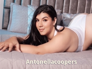 Antonellacoopers