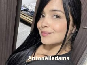 Antonelladams