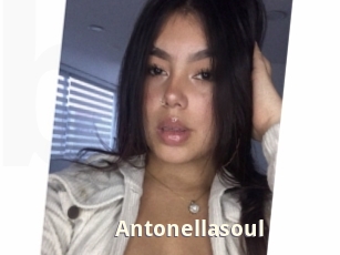 Antonellasoul
