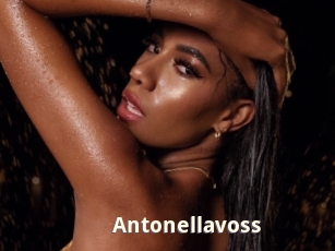 Antonellavoss