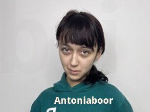 Antoniaboor