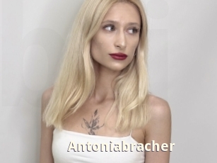 Antoniabracher