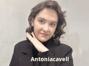 Antoniacavell