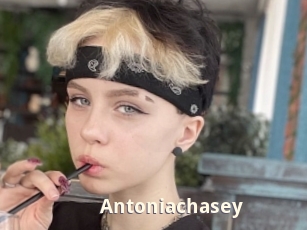 Antoniachasey