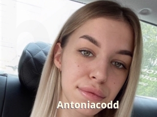 Antoniacodd