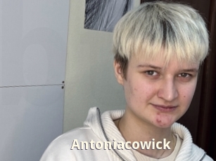 Antoniacowick