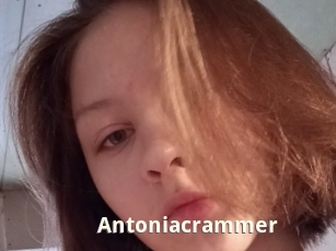 Antoniacrammer