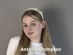 antoniacrumpton Bigtitinvasion