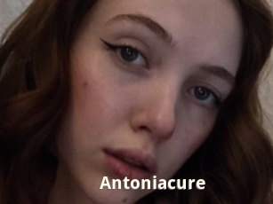 Antoniacure