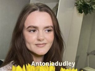 Antoniadudley