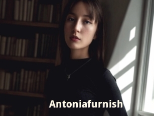 Antoniafurnish