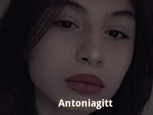 Antoniagitt