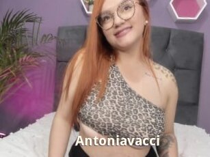 Antoniavacci