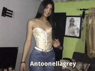 Antoonellagrey