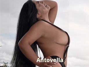 Antovella