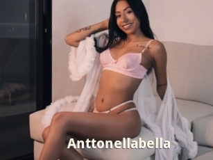 Anttonellabella