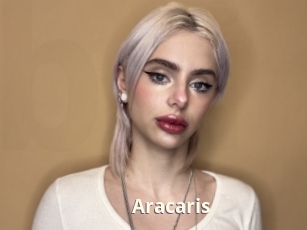 Aracaris
